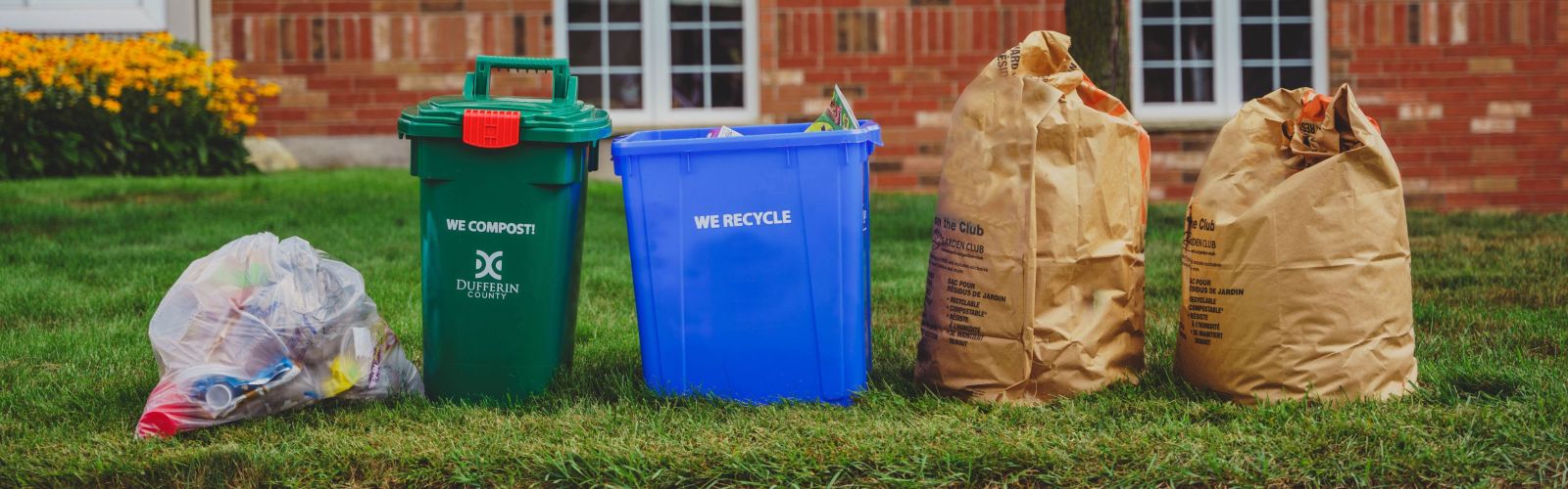 Waste bins sit side by side on a green lawn