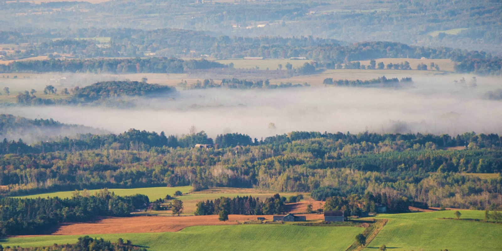 Mist settling on the rolling hills of Dufferin County