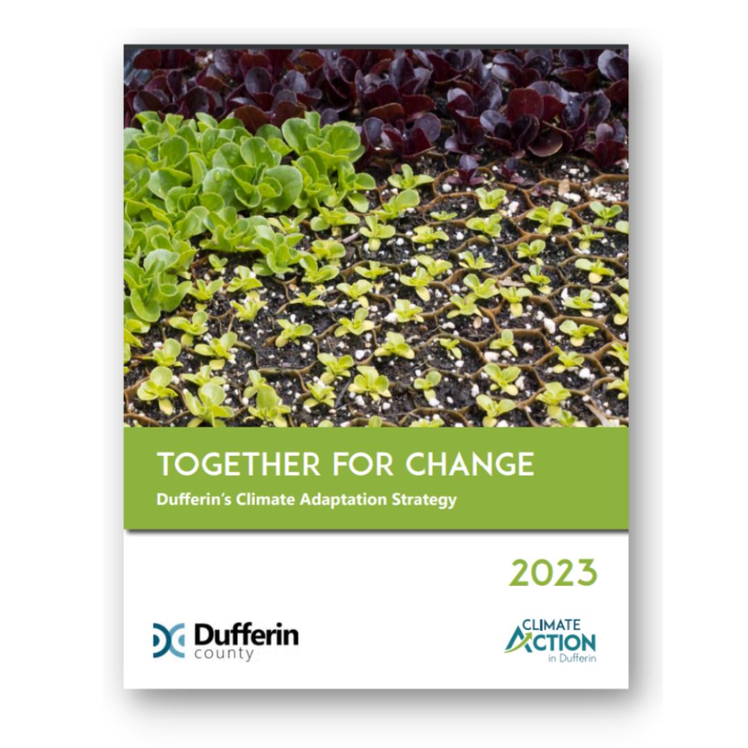 Cover of Together for Change: Dufferin's Climate Adaptation Strategy featuring Dufferin County and Climate Action in Dufferin logos and image sprouting lettuce plants.