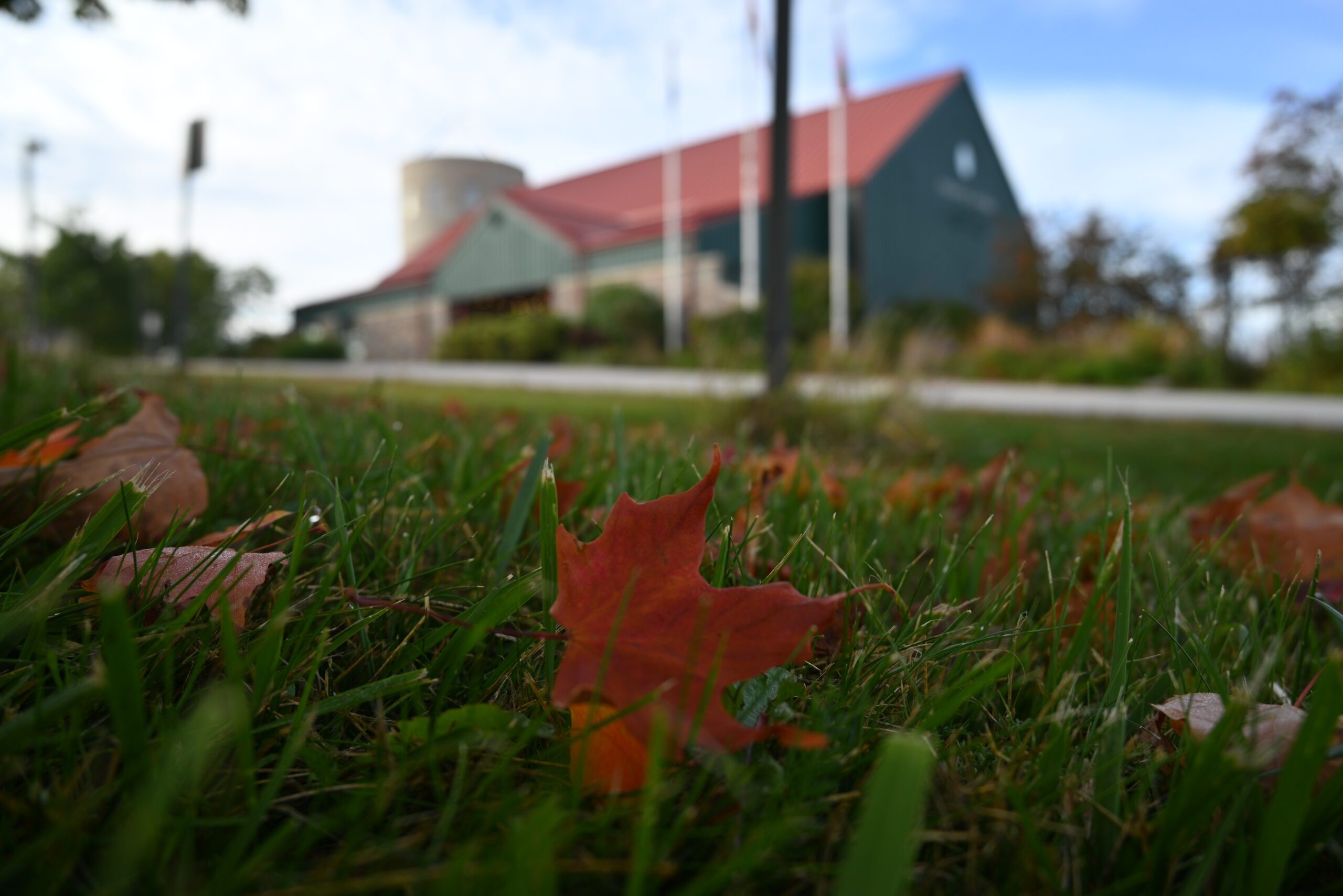 The Museum of Dufferin with fallen fall leaves in the foreground