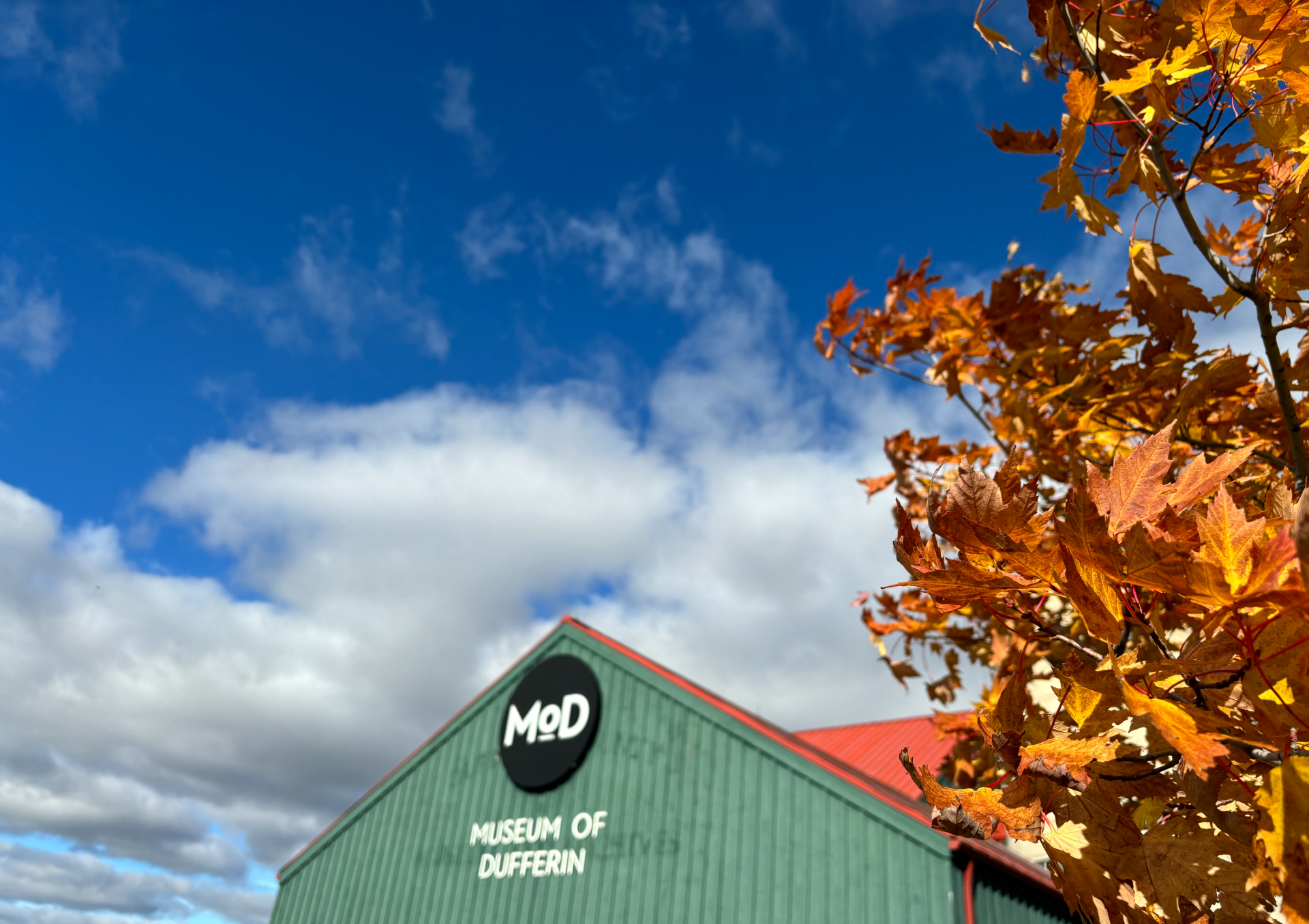 The Museum of Dufferin, designed to look like a green barn, with fall leaves in the foreground